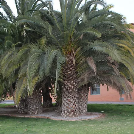 Malvarrosa Valencie